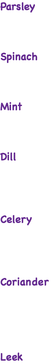 Parsley Spinach Mint Dill Celery Coriander Leek 
